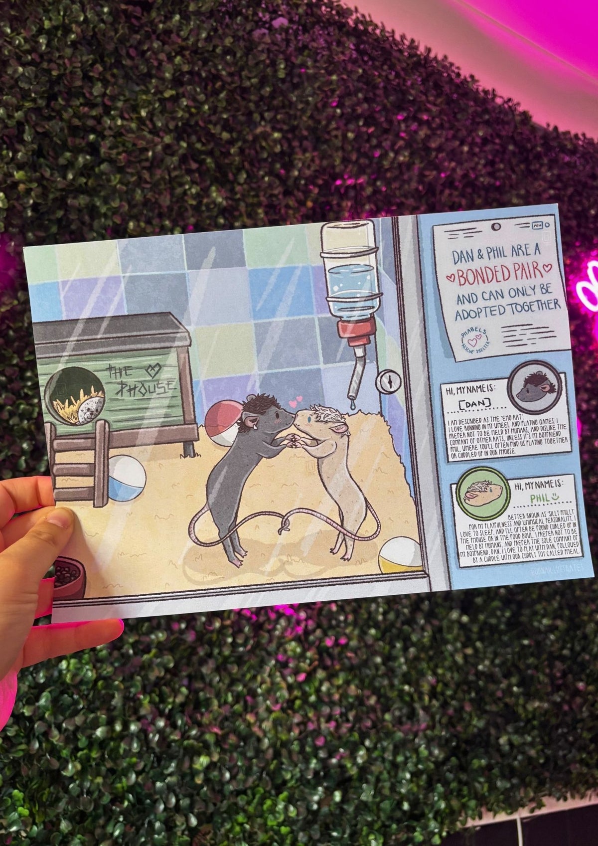 The Phrats | Dan and Phil Fanart A4 Print
